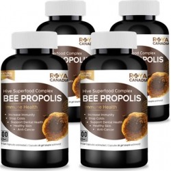 밴쿠버비타민,Bee 프로폴리스 500mg 300캡슐 4병 특가 