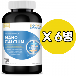 밴쿠버비타민,나노 칼슘 500mg 120캡슐 6병 특가 